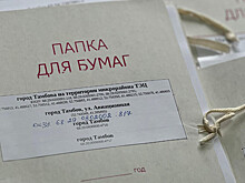 В Тамбовской области от свалок очищено 10 гектаров земель