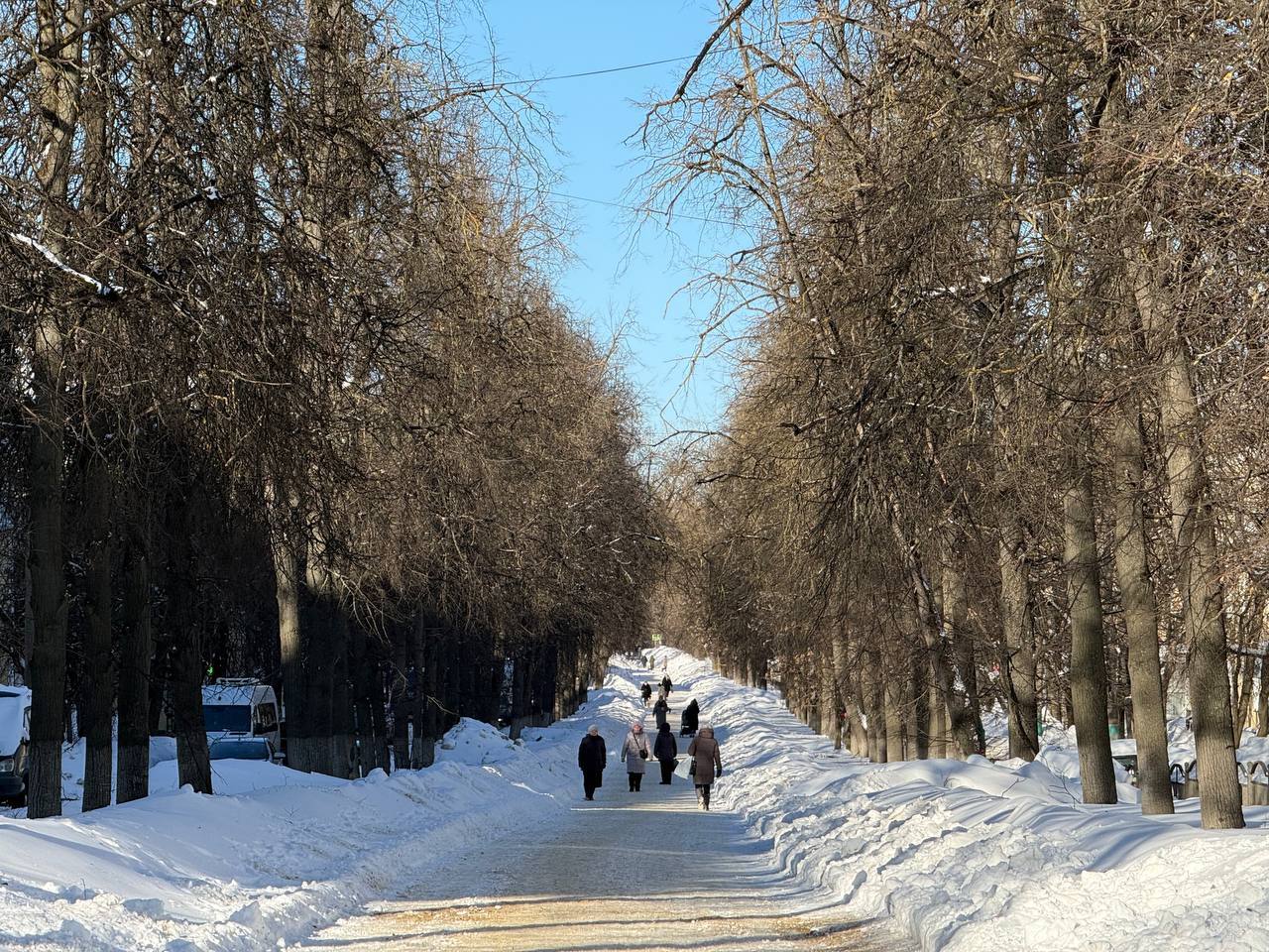 Улицу Чичерина озеленят за 1,8 миллиона