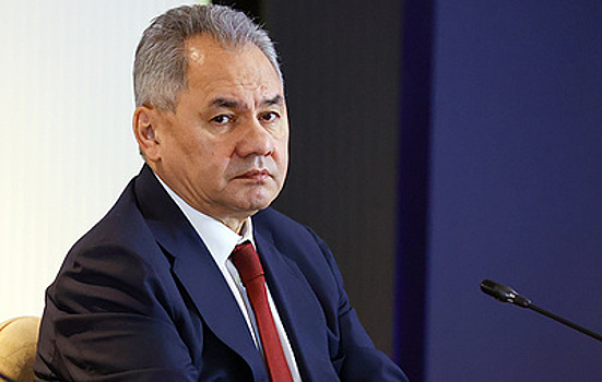 Шойгу указал на недостаточный уровень кооперации между субъектами РФ