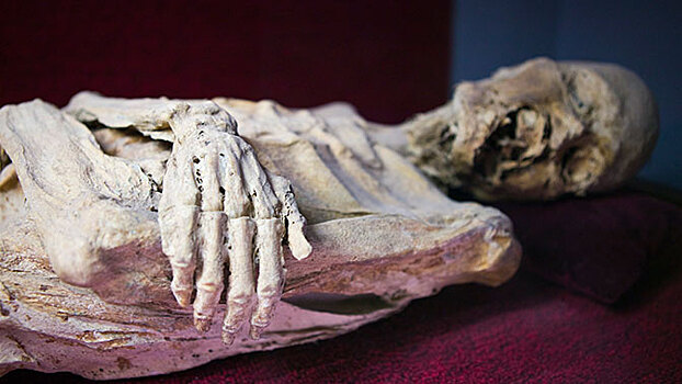 В Мексике обнаружили человеческие останки возрастом 10 тысяч лет