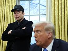 14 штатов США подали в суд против Трампа и Маска