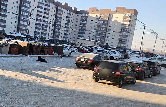 Автохамы в Благовещенске продолжают мешать вывозу мусора