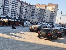 Автохамы в Благовещенске продолжают мешать вывозу мусора