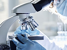 Томские ученые нашли способ доставки препаратов к опухолям мозга