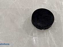 «Дизель» проиграл выездной матч в Санкт-Петербурге