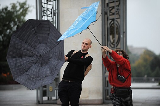 Синоптики предупредили москвичей о сохранении сильного ветра