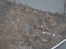 На неделю раньше стартуют субботники в Челябинске