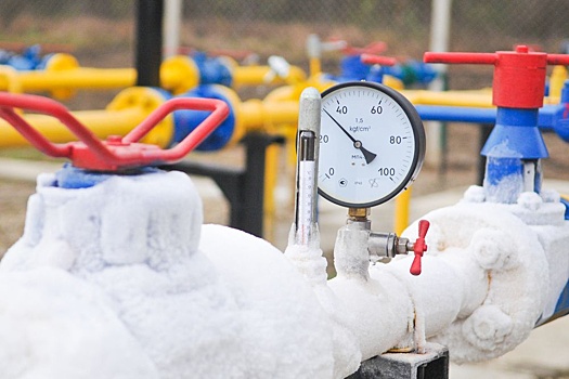 Франция и Бельгия выступили против планов ЕС по отказу от российского газа
