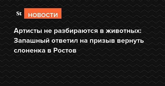 Артисты не разбираются в животных: Запашный ответил на призыв вернуть слоненка в Ростов