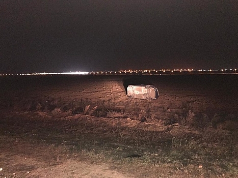 В Тюмрюкском районе упавшее на дорогу дерево привело к ДТП