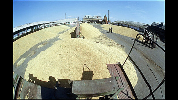 Египет купил в России и Румынии 240 тысяч тонн пшеницы