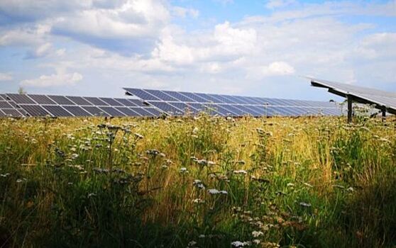Солнечные парки вместо заброшенных сельхозземель – опыт Нидерландов
