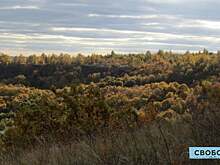 В Саратовской области для охраны лесов от пожаров закупят еще пять видеокамер