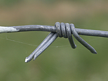 В Приморье задержали осужденного иностранца, сбежавшего из колонии