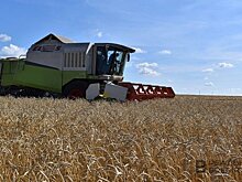 Татарстанским фермерам выдали гранты "Агростартап" на 158,9 миллиона рублей