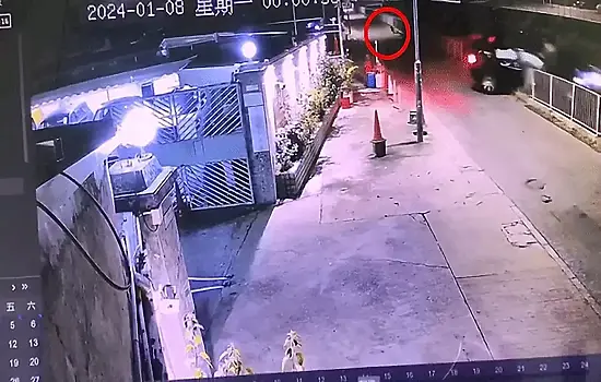 Бездомный пёс лишил автомобилиста электромобиля: видео