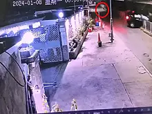 Бездомный пёс лишил автомобилиста электромобиля: видео