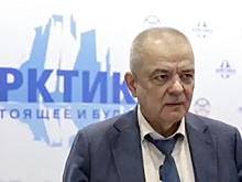 Арктический багаж - чем наполнил его "Норникель"