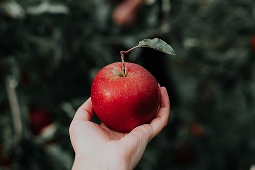 Диетолог рассказал о полезных свойствах яблок для людей старше 60 лет