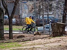 Татарстанцы за год потратили на курьерскую доставку 185 млн рублей