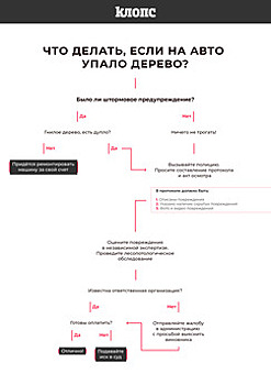 Авторазбор "Клопс": как получить компенсацию, если на вашу машину упало дерево