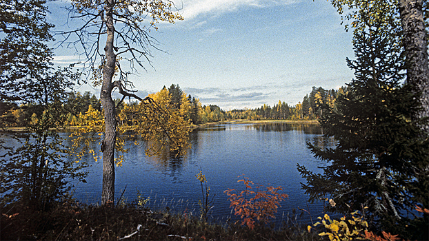 У Пинежского заповедника появится талисман