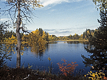 У Пинежского заповедника появится талисман