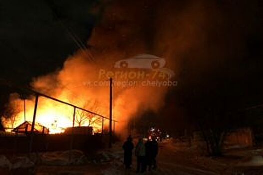 В Челябинской области сгорел дом женщины, у которой изъяли троих детей