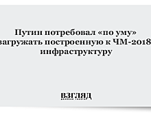 Путин потребовал «по уму» загружать инфраструктуру для ЧМ