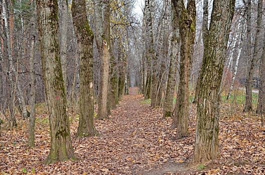 Сотрудники Дворца культуры Щербинка поздравили педагогов с профессиональным праздником