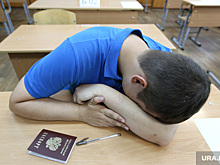 СМИ: выпускникам школы в Подмосковье выдали «липовые» аттестаты