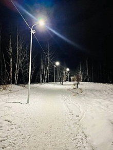 В Центральном районе Челябинска осветили новую экотропу