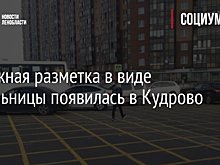 Дорожная разметка в виде вафельницы появилась в Кудрово