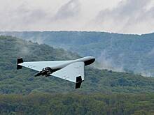 В Белоруссии назвали «заблудившимися» попавшие в Польшу дроны