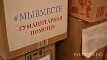 550 подарков собрали жители Вологды бойцам СВО к Новому году