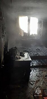 В Осиново при пожаре погиб пенсионер