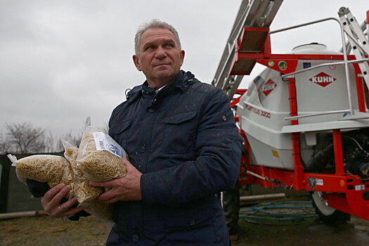 На карантине кубанские фермеры сеют хлеб и дежурят на трассах