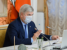 Александр Гусев: В зеленых зонах Воронежа нельзя размещать даже объекты социальной инфраструктуры