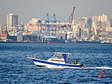 У «крабового короля» в Приморье конфисковали судно