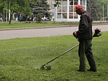 Автоэксперт объяснил опасность парковки вблизи мест, где косят траву