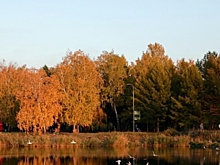 Антициклон принесет в Омскую область потепление до +15 градусов