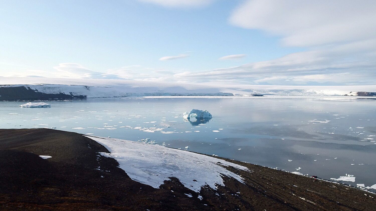 Китайцы посоветовали НАТО заранее «готовить гробы» Источник: Рамблер