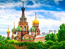 Смольный нашел подрядчиков для работ по озеленению Петербурга в 2019 году