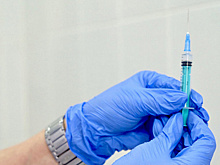 Новосибирские муниципалитеты разработают планы-графики обязательной COVID-вакцинации