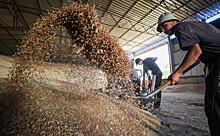 Bloomberg: Россия выиграла от выхода из зерновой сделки