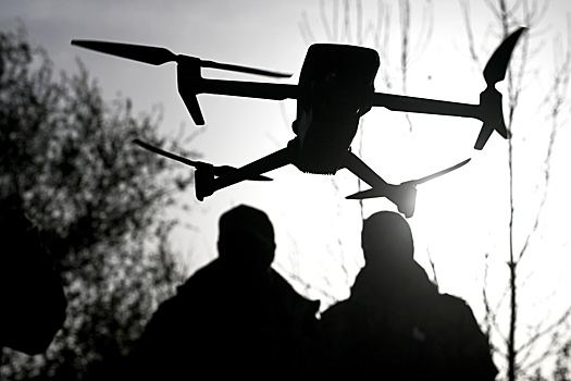 Сенаторы поддержали право частных охранников объектов ТЭК сбивать дроны