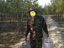 Четырех грибников оштрафовали за то, что они собирали грибы на Куршской косе