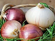 Иран повысил экспортную пошлину на лук до 180 процентов