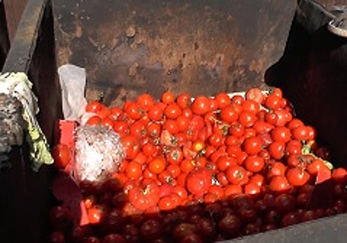 В Орле уничтожили более 200 кг турецких помидоров