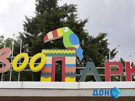 &laquo;Дословный&raquo; язык: в зоопарке Ростова пройдет выставка картин людей и обоезьян